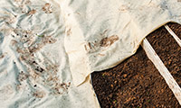 Geotextiles